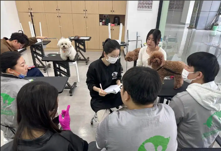 盘锦市宠物美容师宠物美容培训学校 - 方案